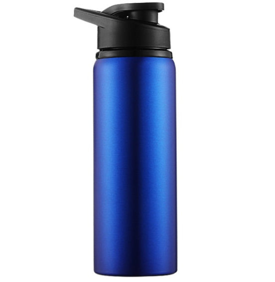 Aura Hydrate Sport Bottle (700ml) | Stainless Steel Flask with Quick-Flip Lid & Carry Loop
