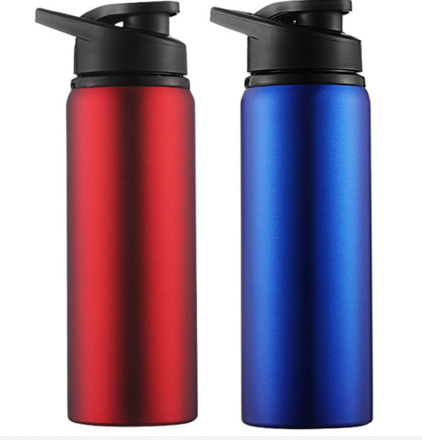 Aura Hydrate Sport Bottle (700ml) | Stainless Steel Flask with Quick-Flip Lid & Carry Loop